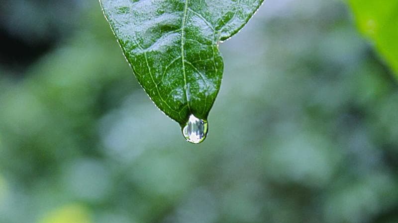 Pháp luật: Toàn cảnh diễn biến nổi bật tuần 15