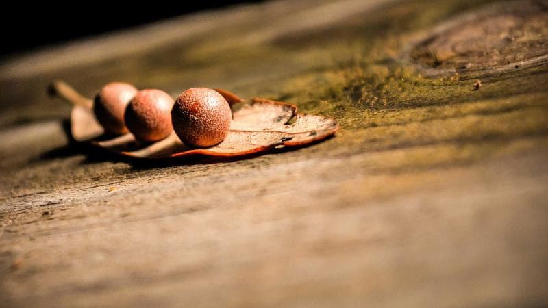Pháp luật: Toàn cảnh diễn biến nổi bật tuần 5